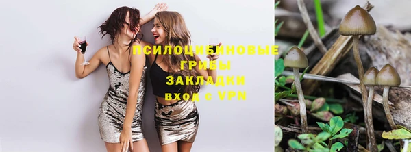 мяу мяу кристалл Алексин