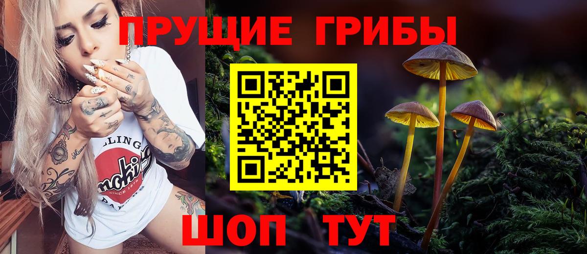Галлюциногенные грибы Magic Shrooms  Вход с VPN  Карачаевск 