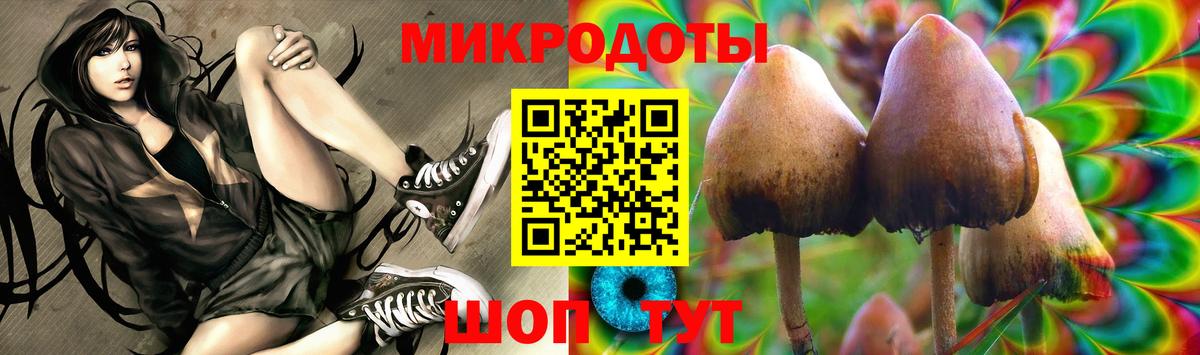 Галлюциногенные грибы Cubensis Карачаевск